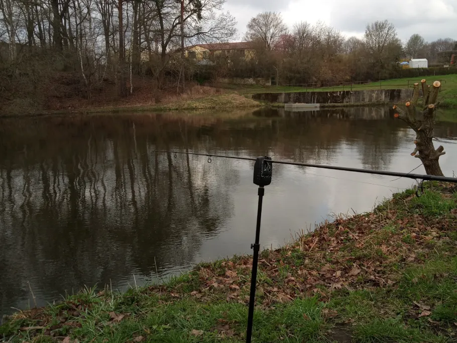 Goldbachteich (Radeberg) angeln