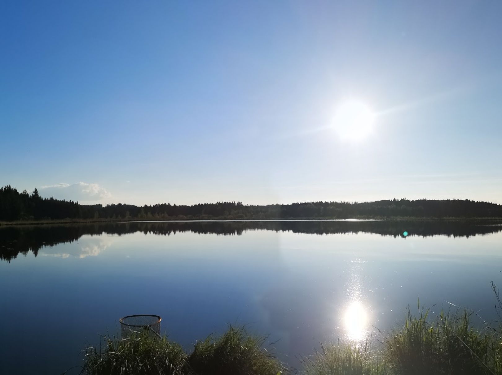 Elbsee angeln