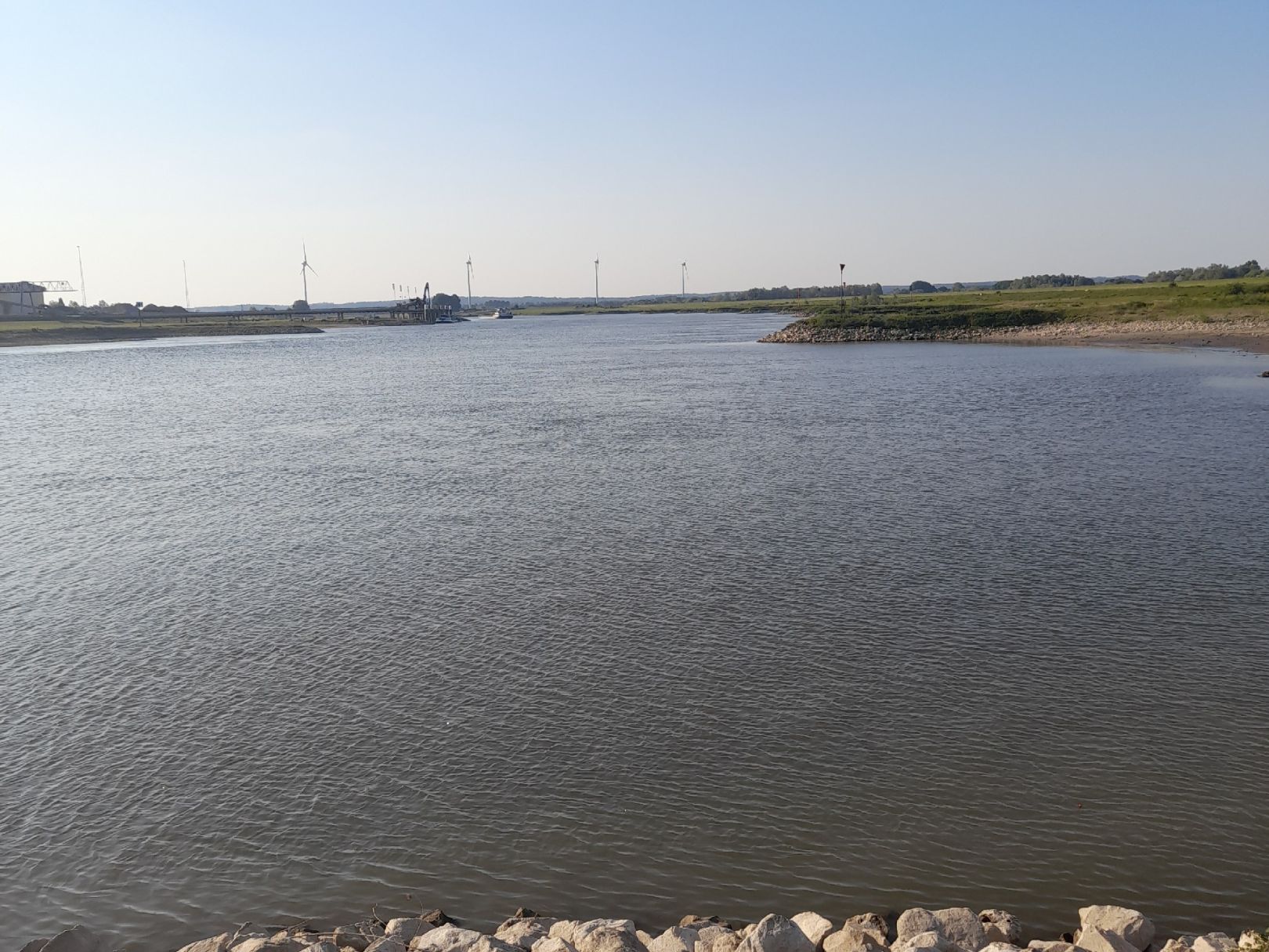 Nederrijn (Westervoort) angeln