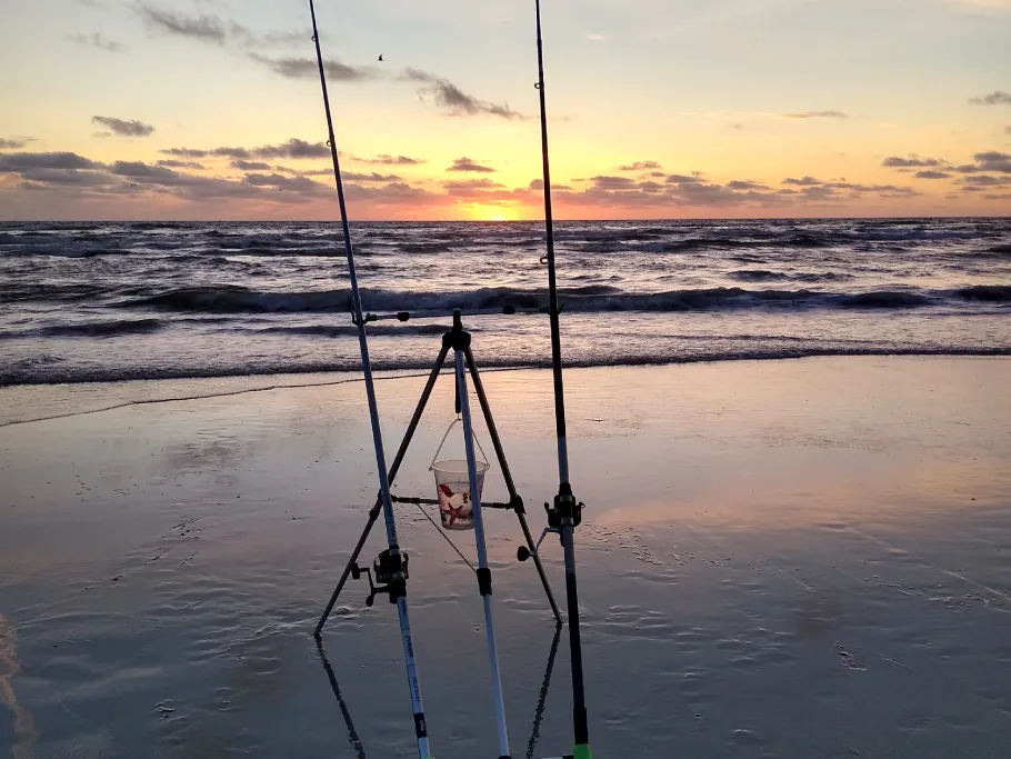 Nordsee (Vejers Strand) angeln
