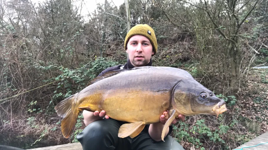 Albertussee (Düsseldorf) angeln