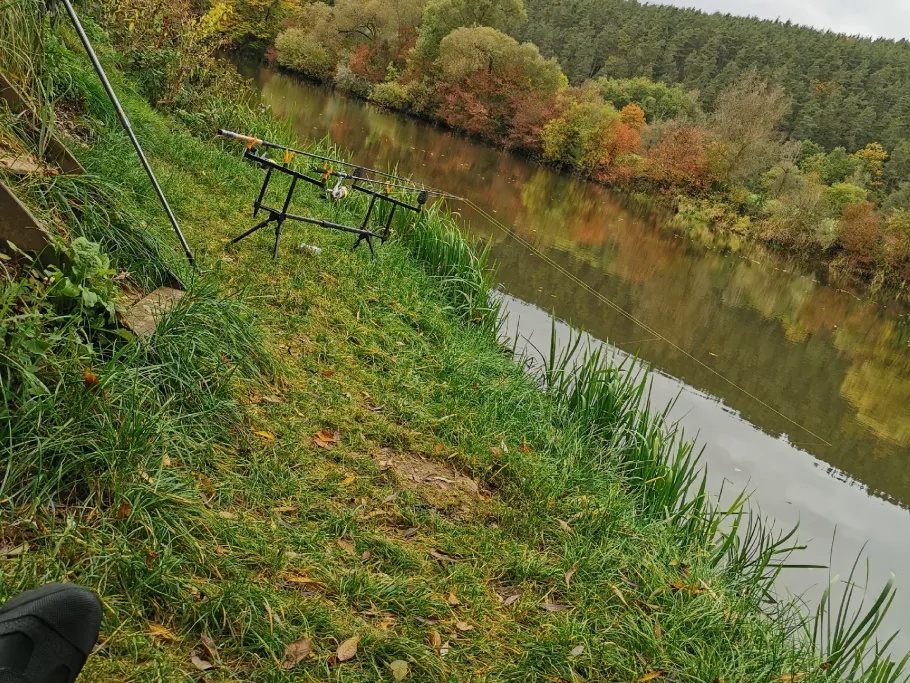 Alte Naab (Nabburg) angeln