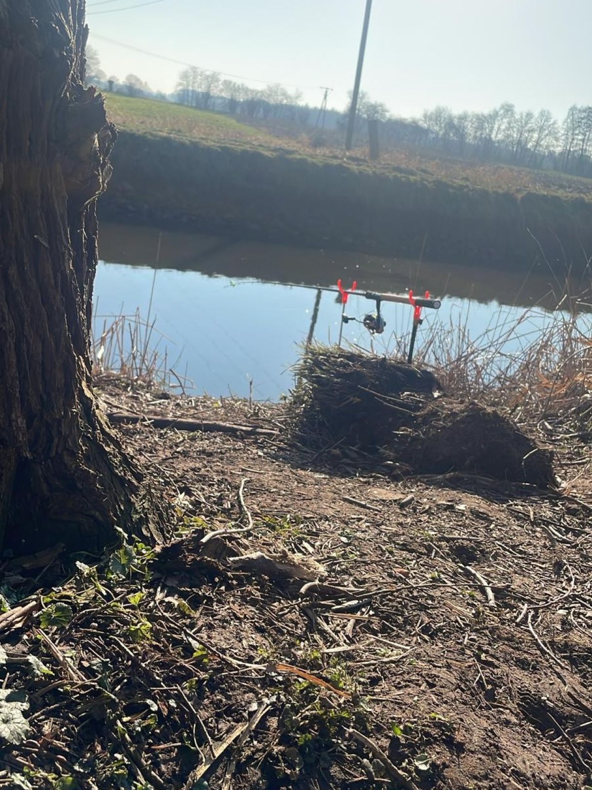 Issel (Werth) angeln