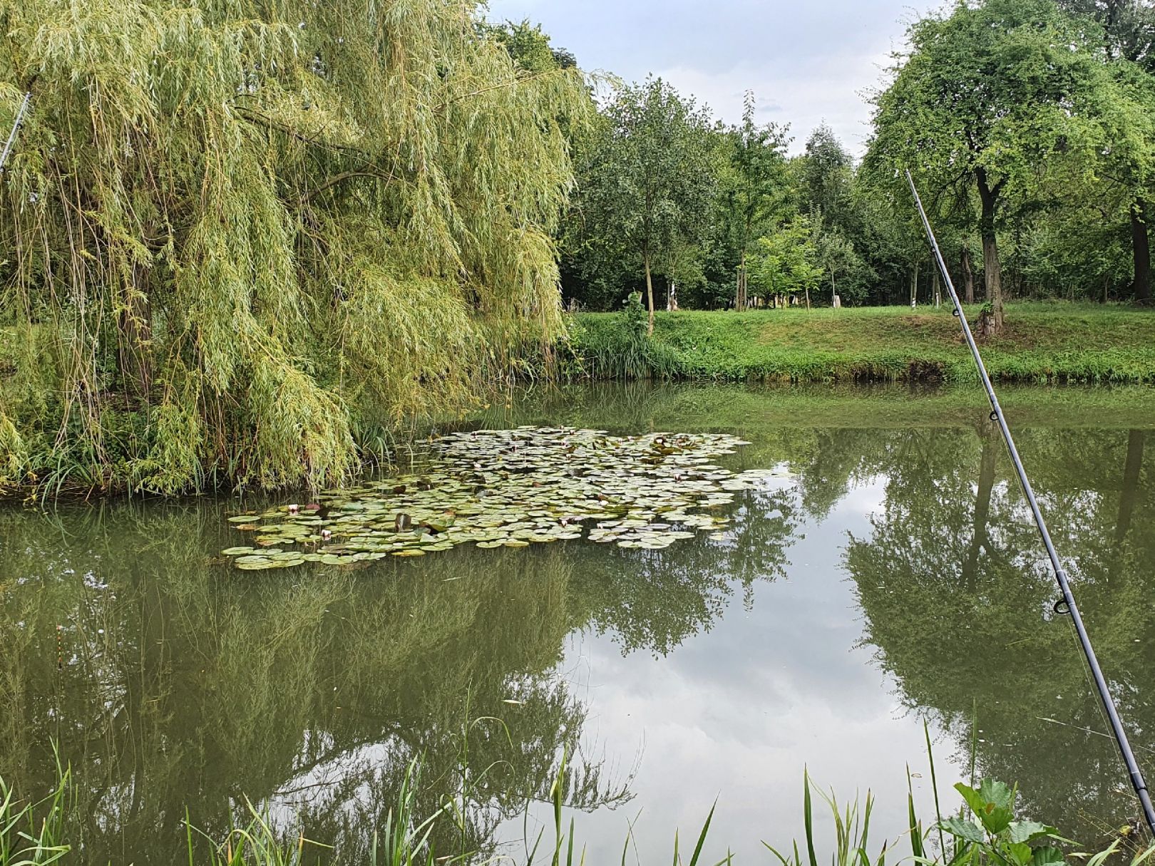 Wasserspeicher Gänserieth angeln