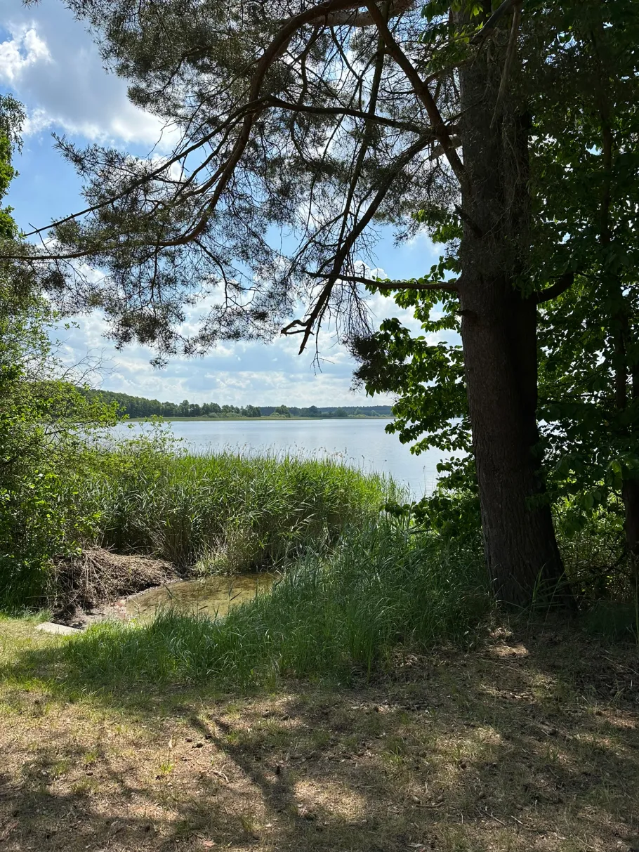 Garder See (Lohmen) angeln