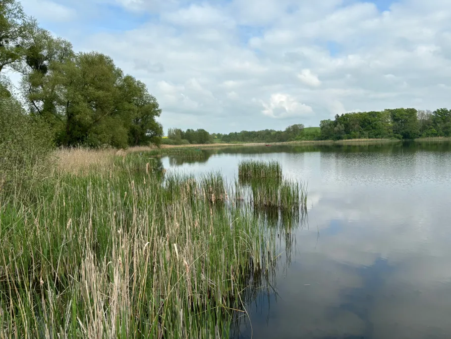 Klein Plastener See angeln
