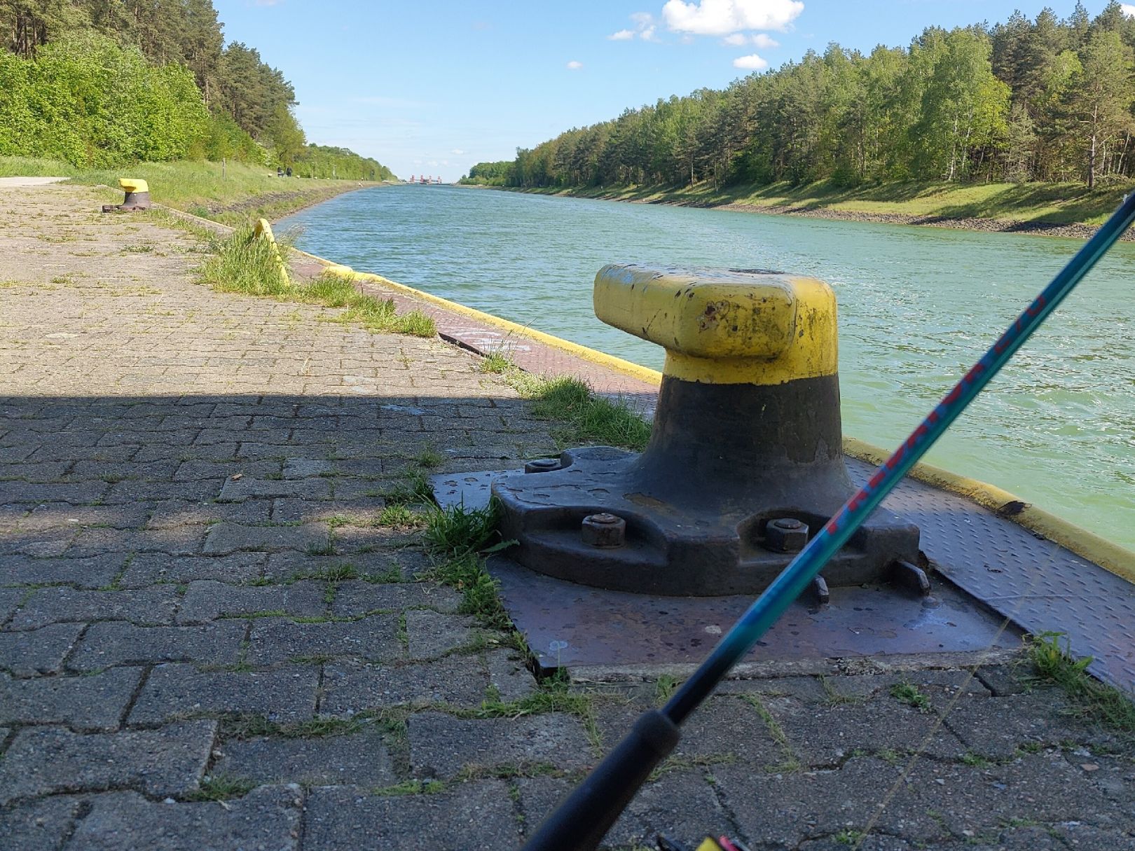 Elbe-Seitenkanal (Lüneburg) angeln