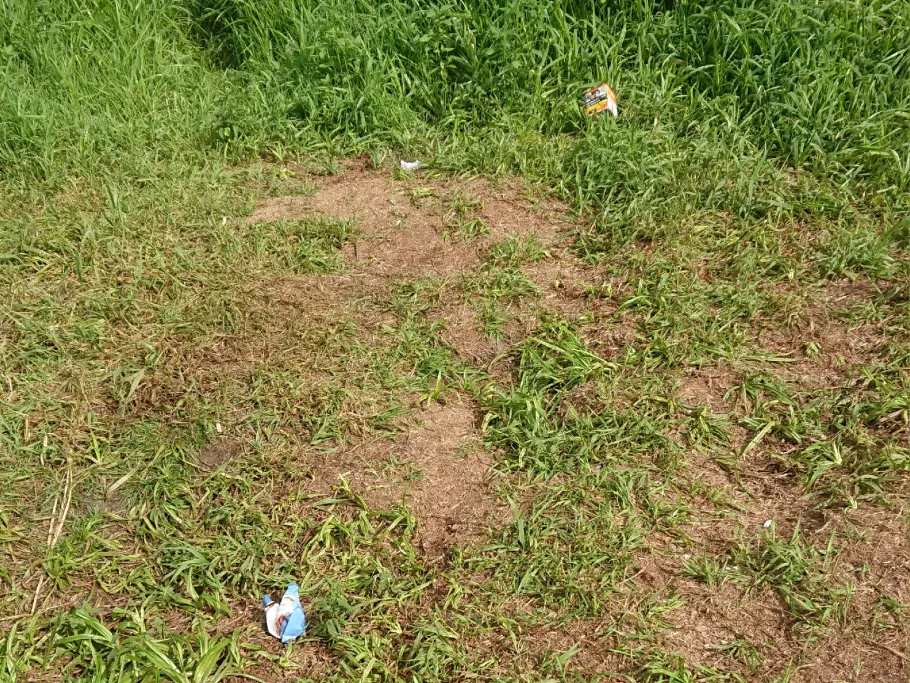 Hunte (Wildeshausen) angeln