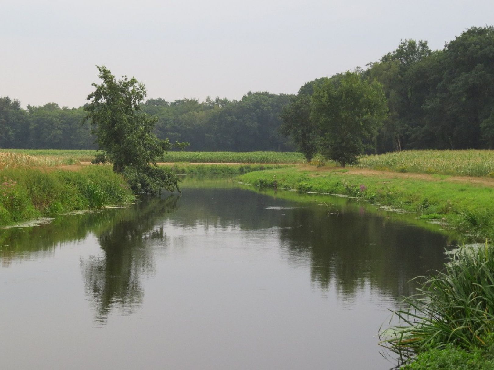 Hunte (Wildeshausen) angeln
