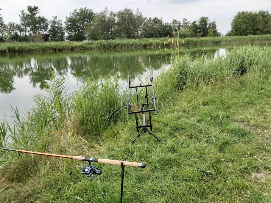 Hoffnungssee (Leherfeld) angeln