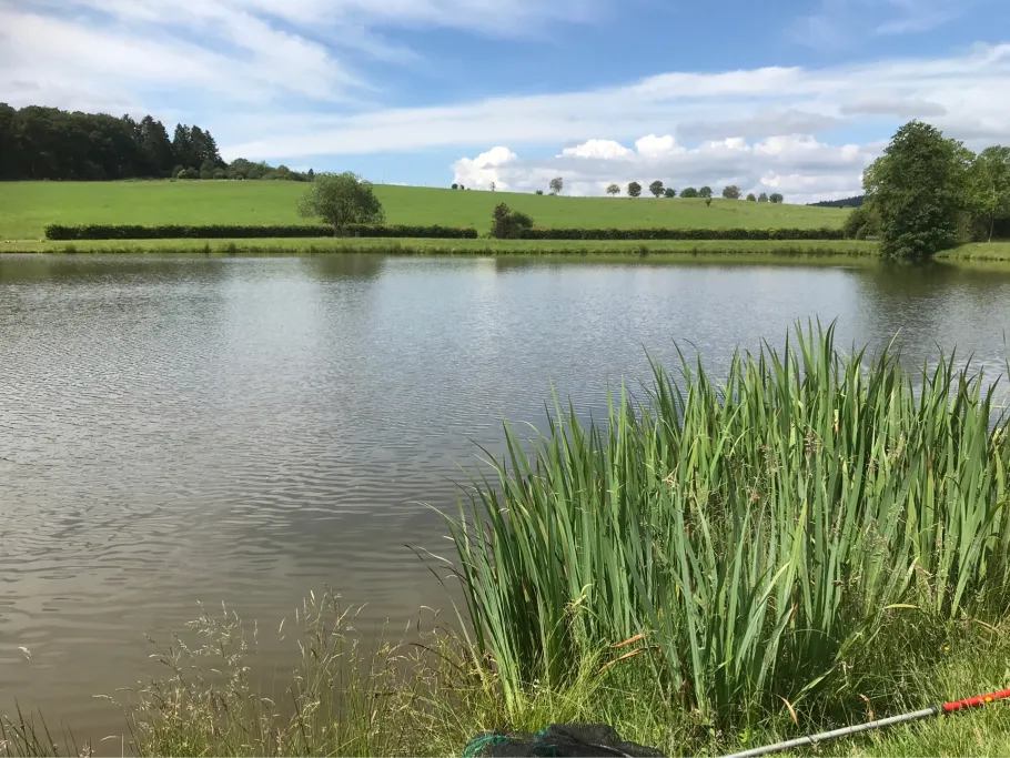 Vereinsweiher Dreis-Brück angeln