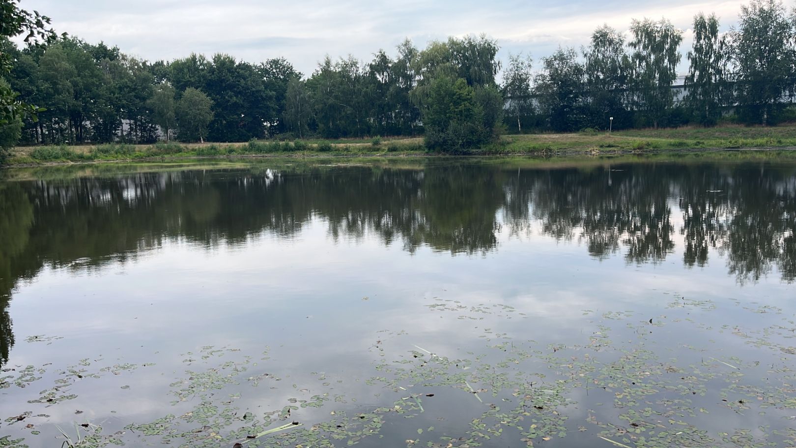 Rückhaltebecken Schüttorf angeln