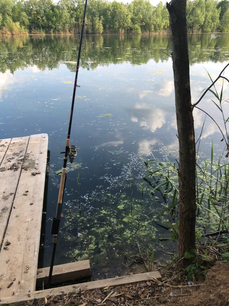 Ippesheimer See angeln