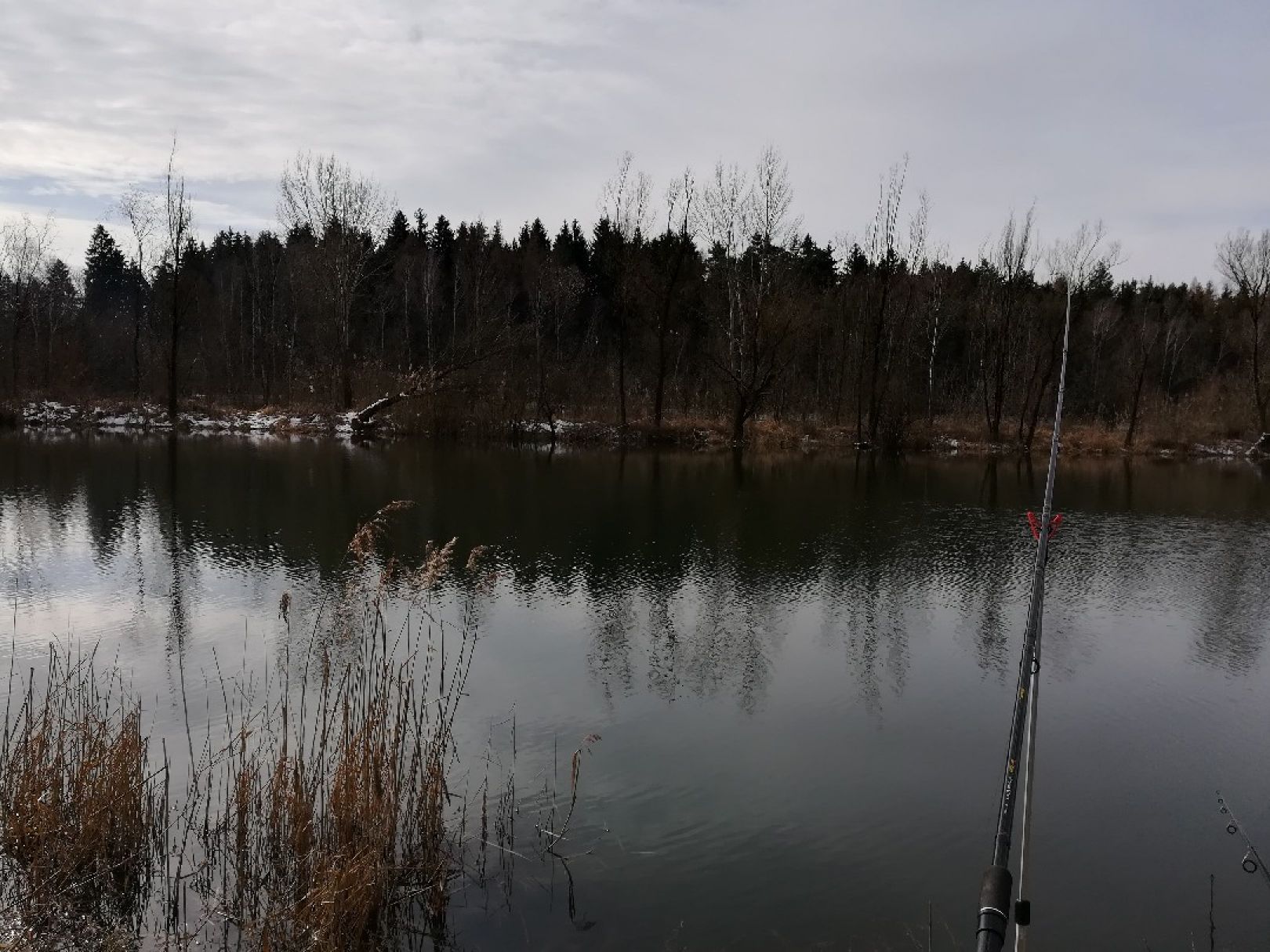 Baggersee Mintraching (FV Sünching) angeln