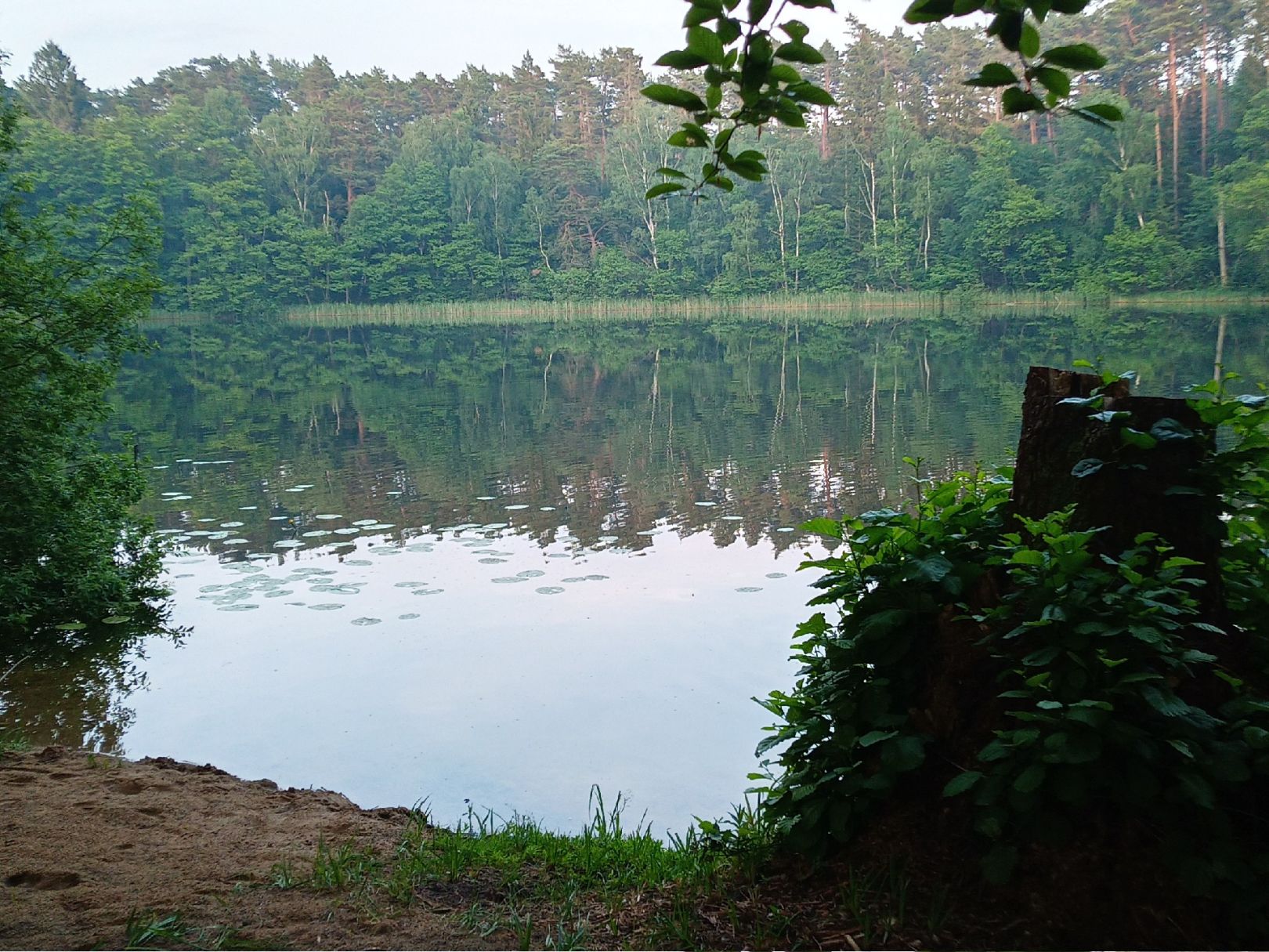 Großer Dreisee angeln