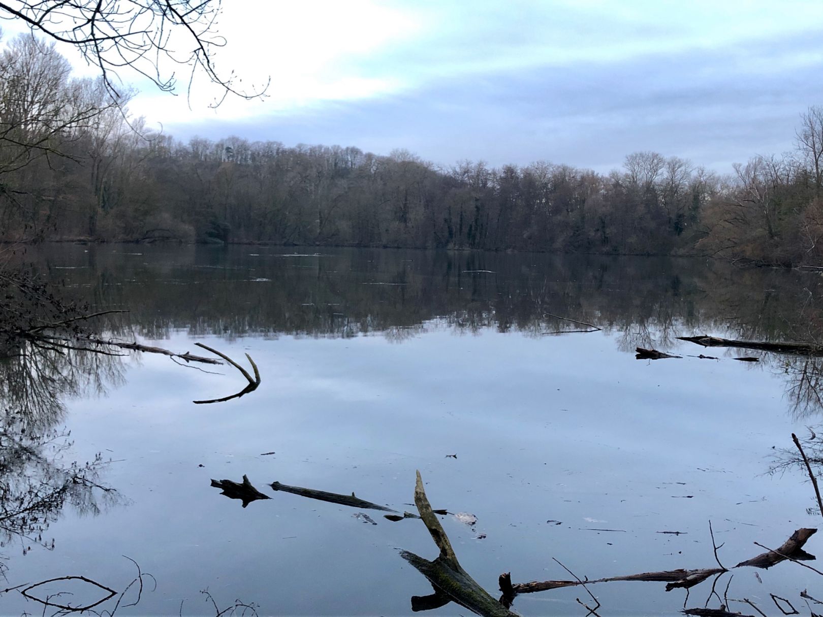 Baggersee Kirchheim am Neckar angeln