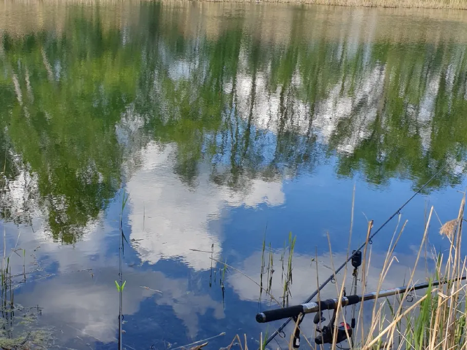 Damaschkeplan (Calbe) angeln