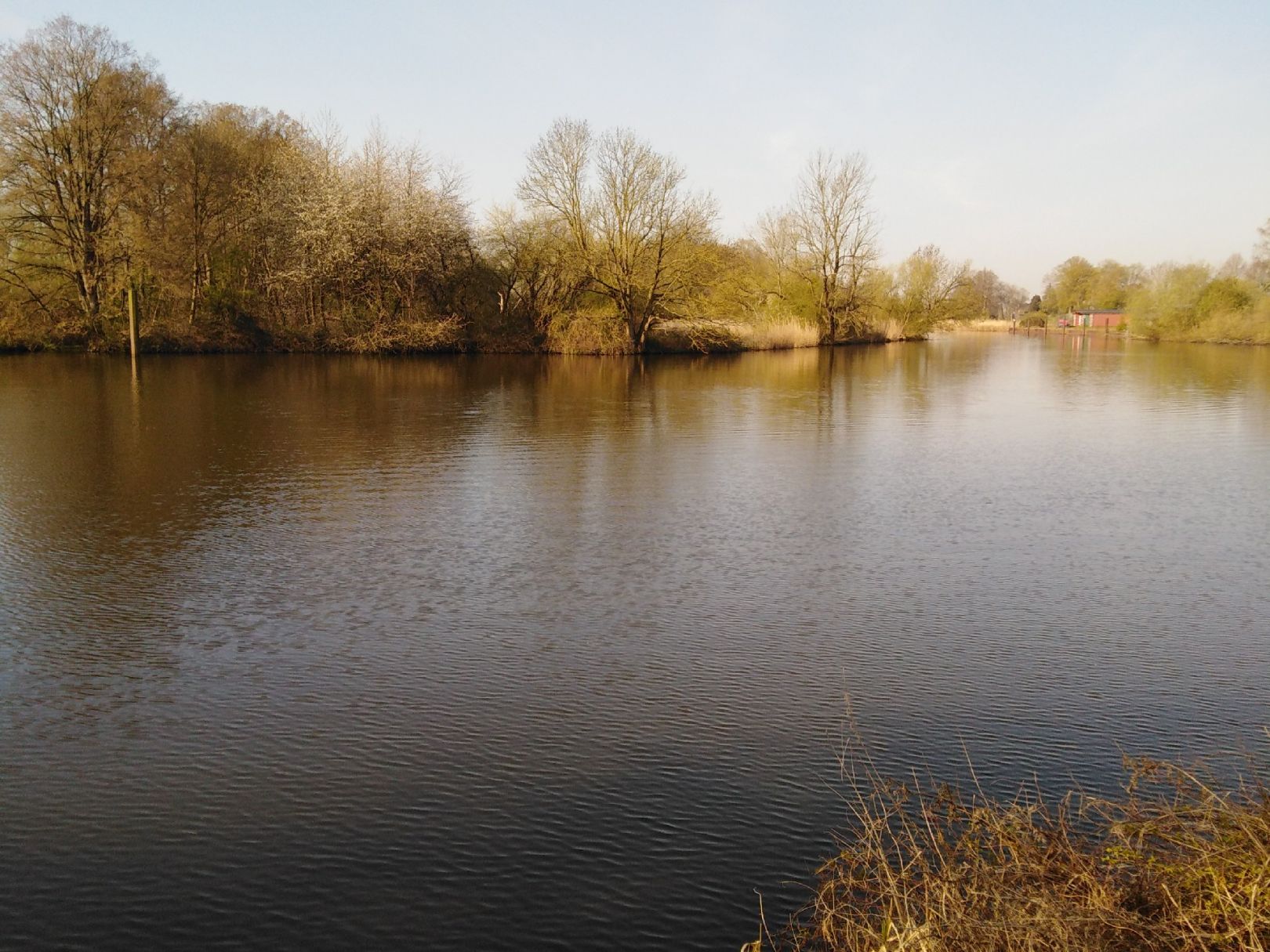 Dove Elbe (Krapphofschleuse) angeln