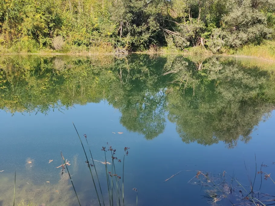 Steinbruch (Dahlenwarsleben) angeln