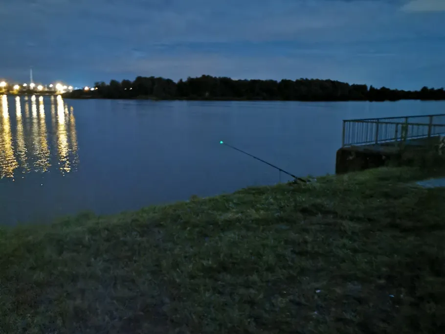 Rhein (Rastatt) angeln