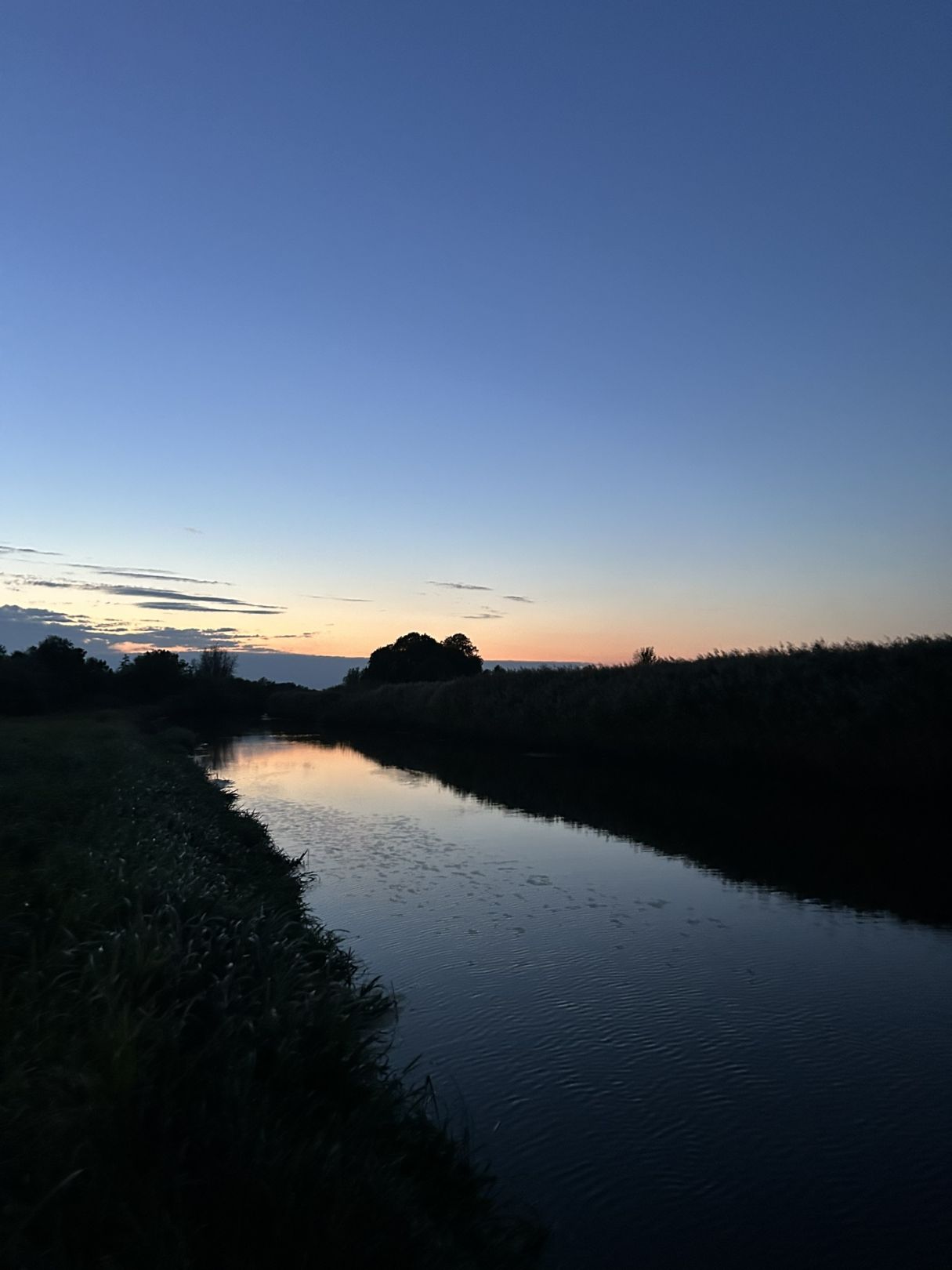 Süderau (Grenzstrom) angeln