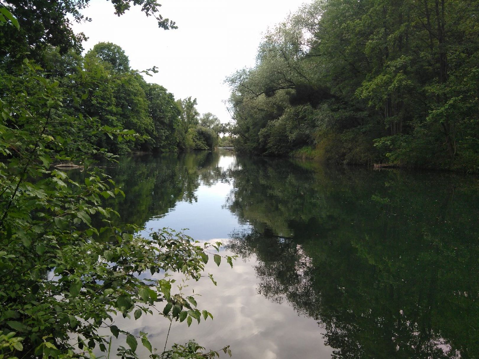 Baggersee Auenheim angeln