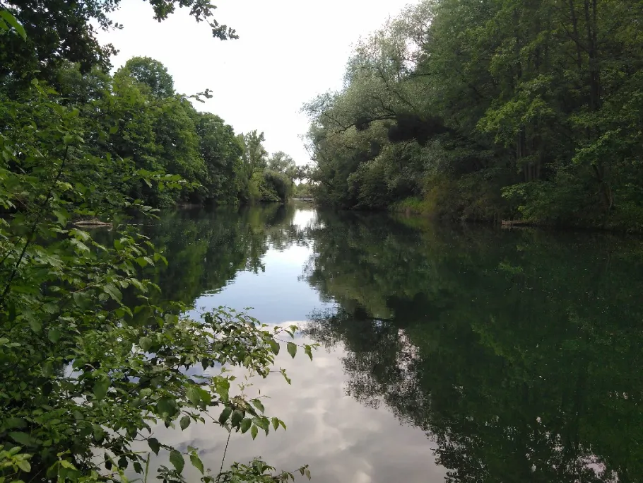 Baggersee Auenheim angeln