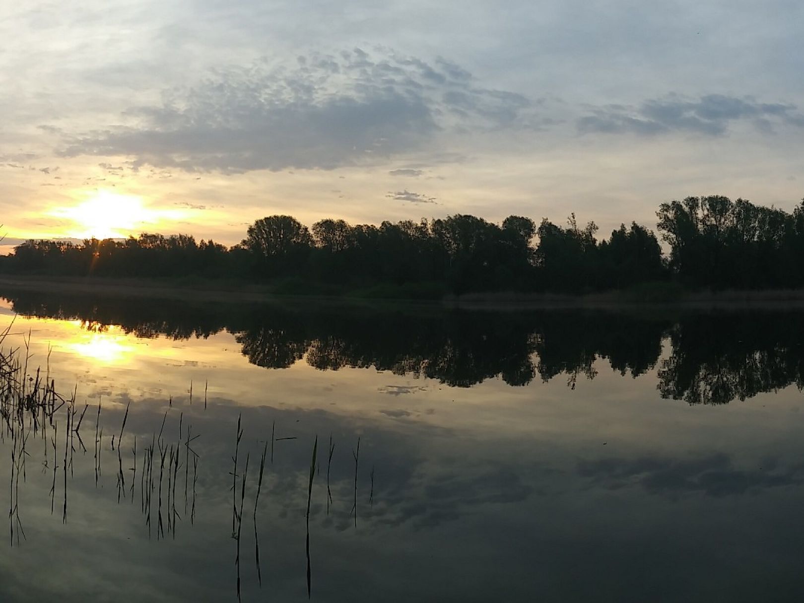 Butzer See (Berlin-Kaulsdorf) angeln