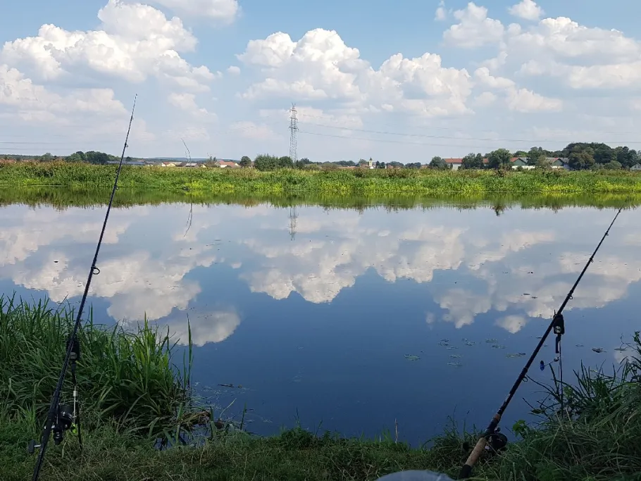 Naab (Schwarzenfeld) angeln