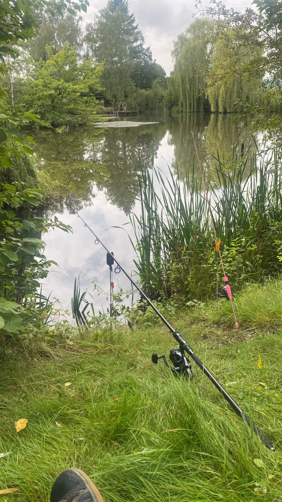 Schwarzer Teich (Katlenburg-Lindau) angeln