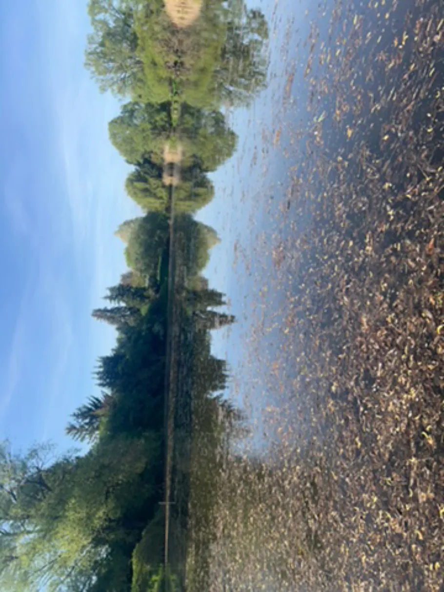 Emsterkanal (Kloster Lehnin) angeln