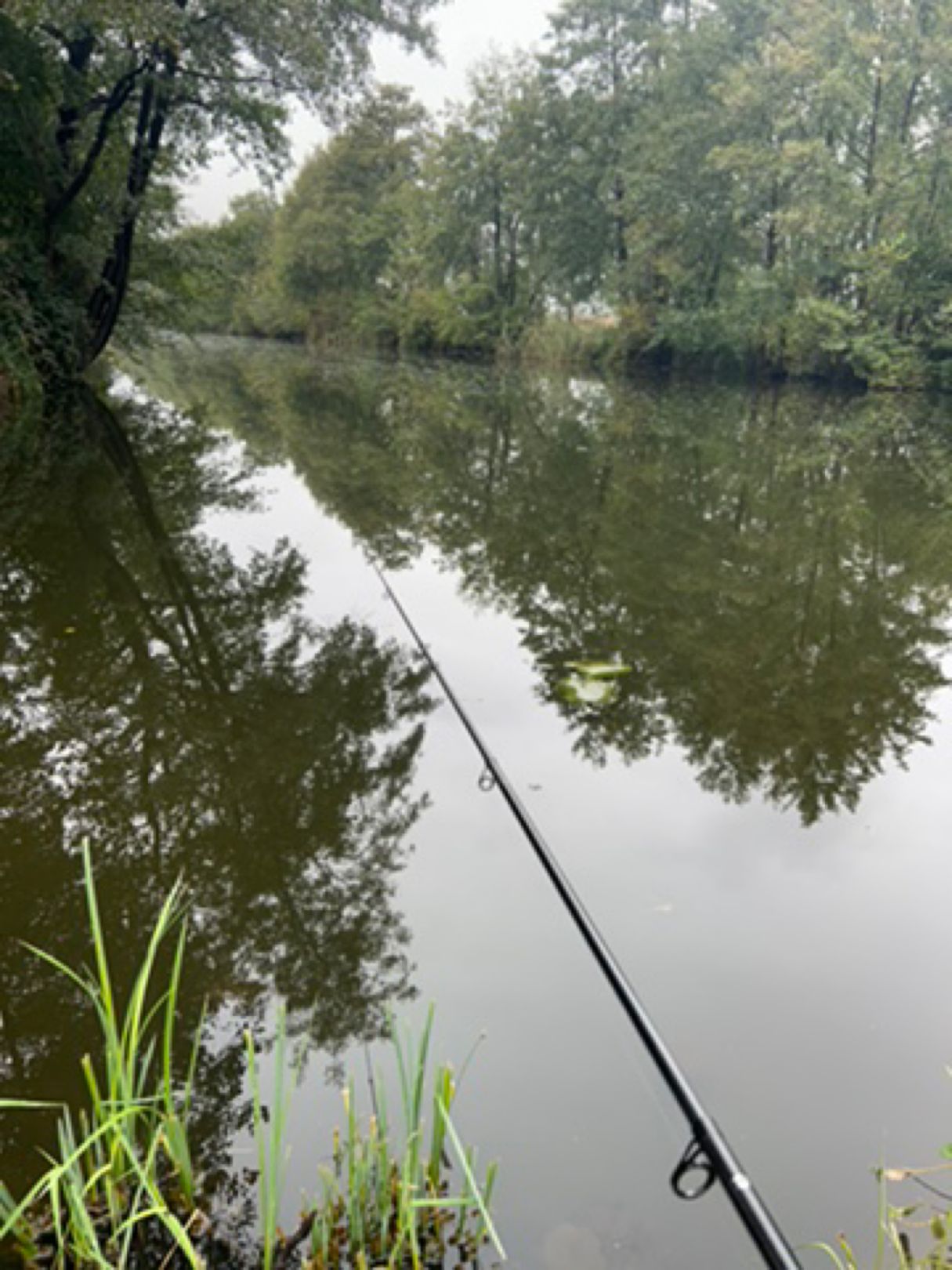 Emsterkanal (Kloster Lehnin) angeln