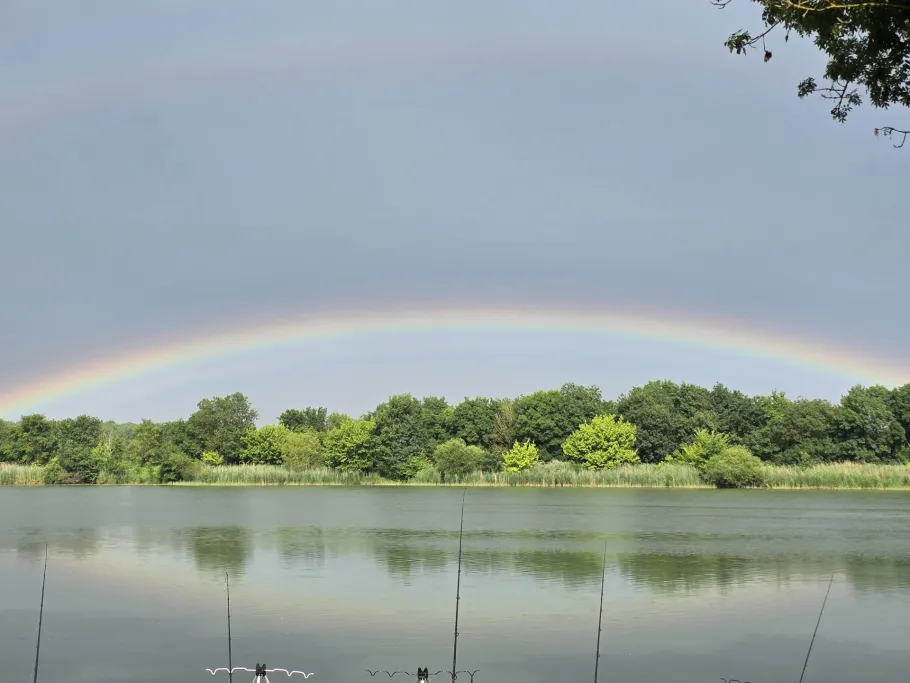 Saône (Mâcon) angeln