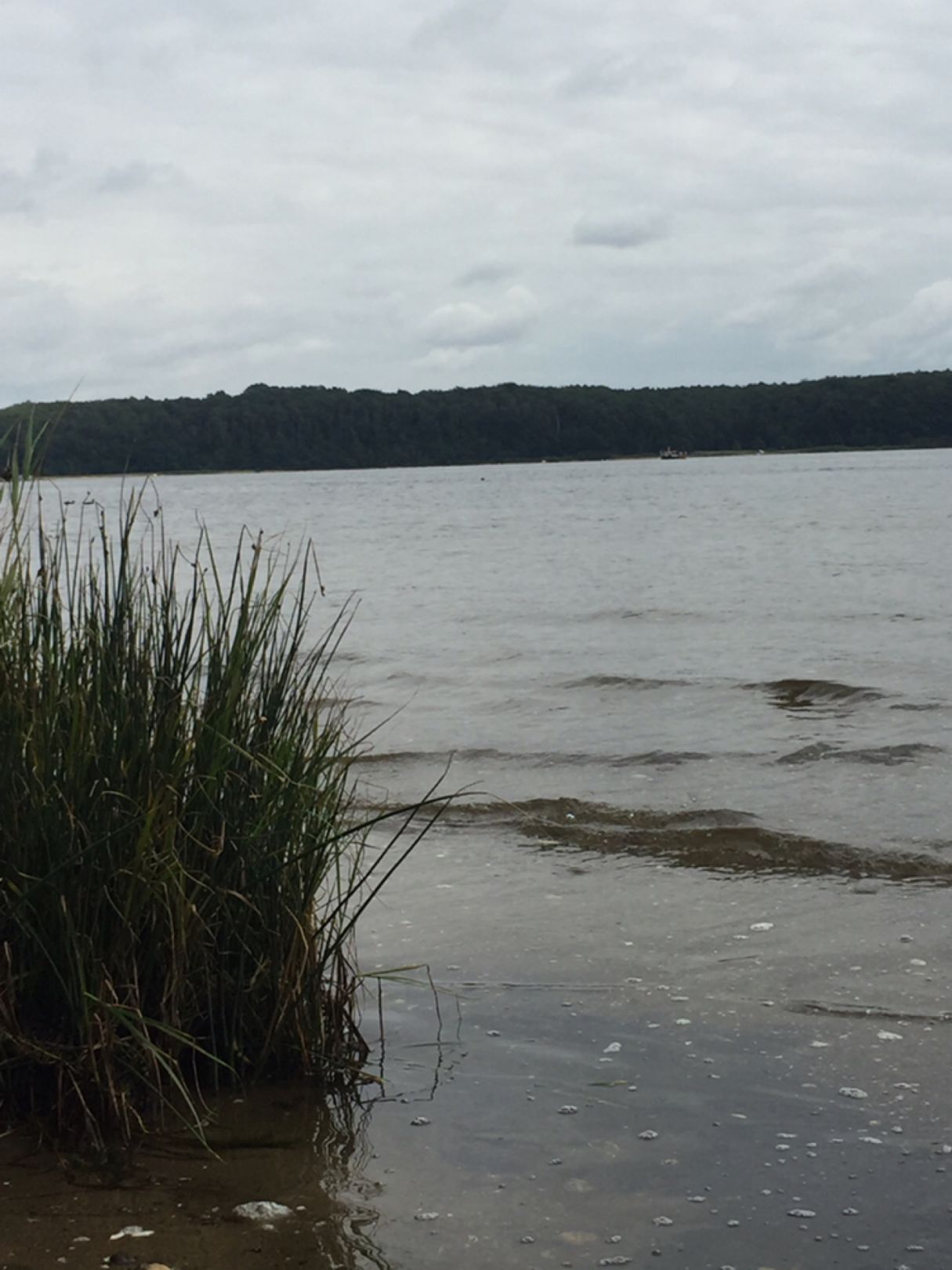 Trave (Dummersdorfer Ufer) angeln