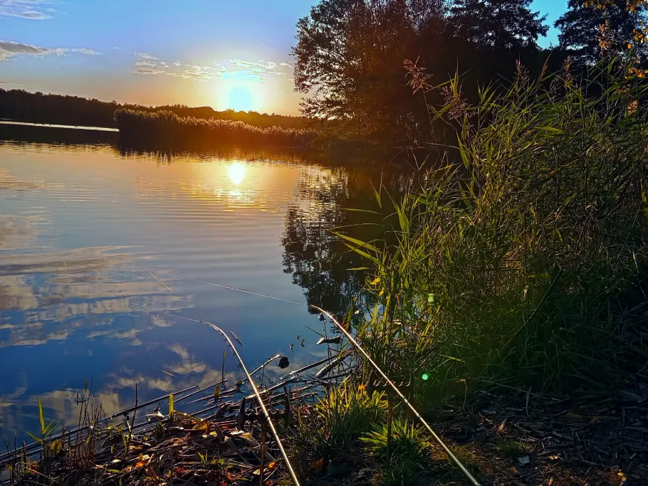 Großteich (Niesky) angeln