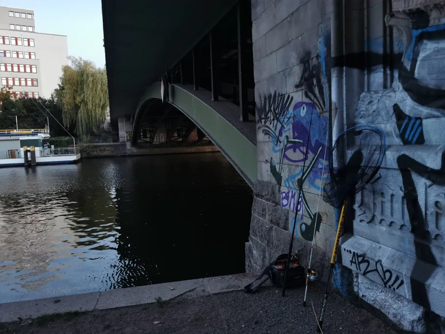 Spree (Berlin-Tiergarten) angeln