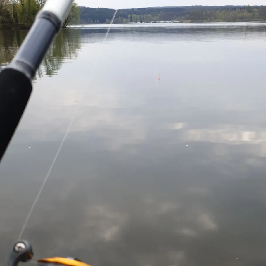 Möhne (Belecke) angeln