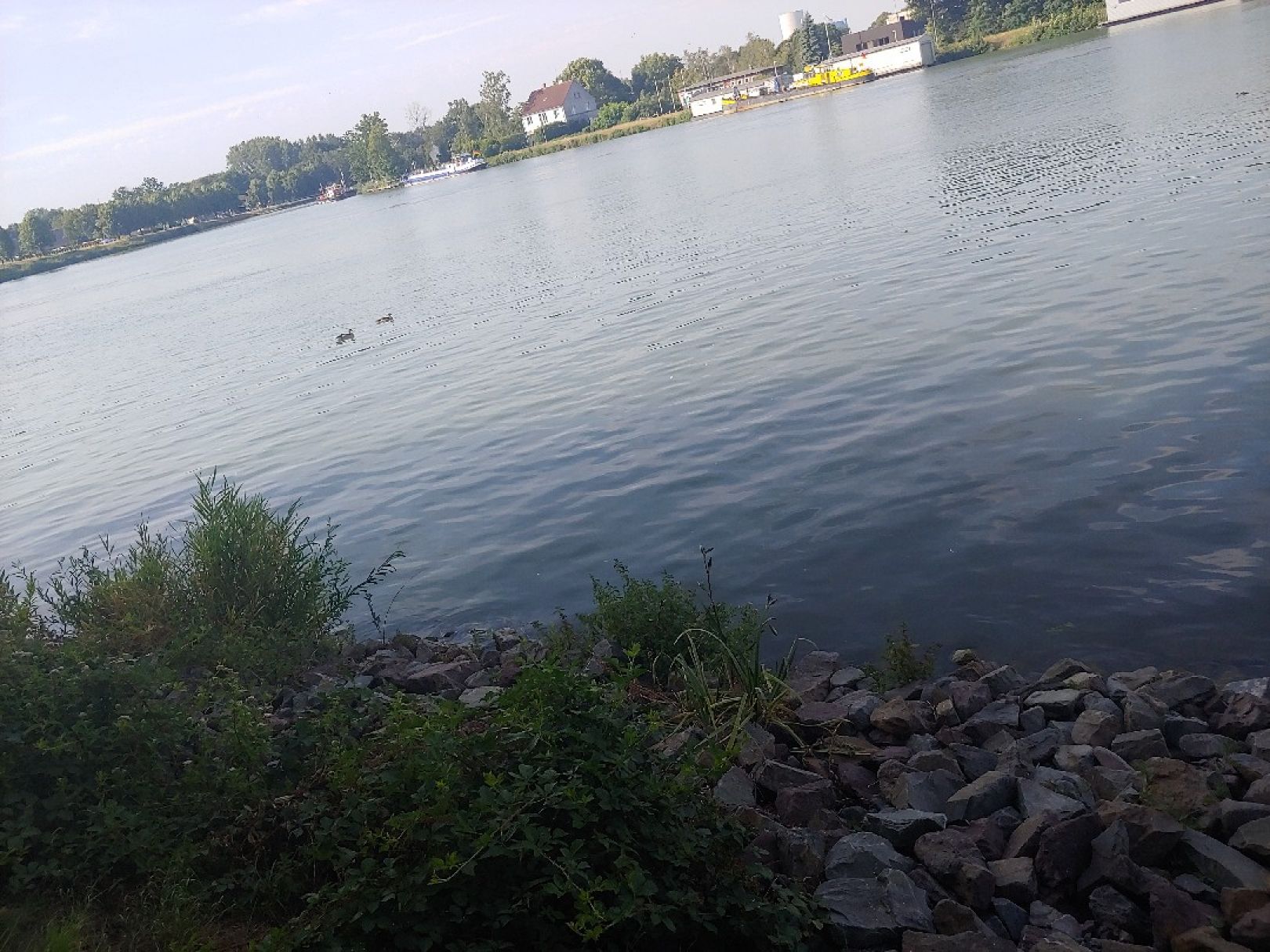 Datteln-Hamm-Kanal (Datteln) angeln