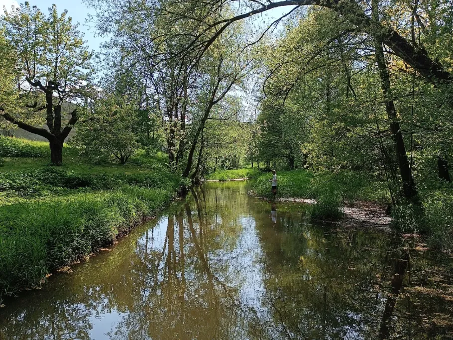 Pließnitz (Bernstadt auf dem Eigen) angeln