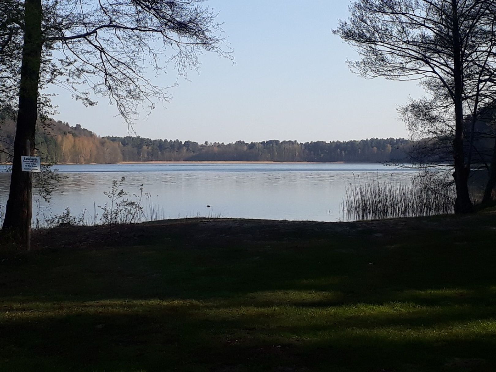 Dreetzsee (Feldberger Seenlandschaft) angeln