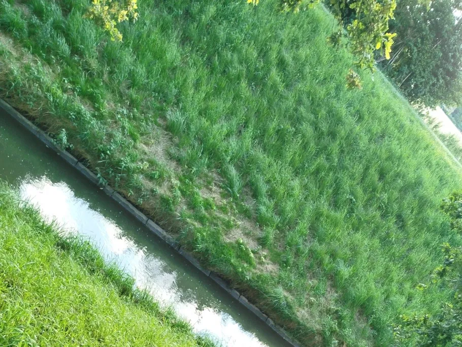 Oelbach (Bochum) angeln