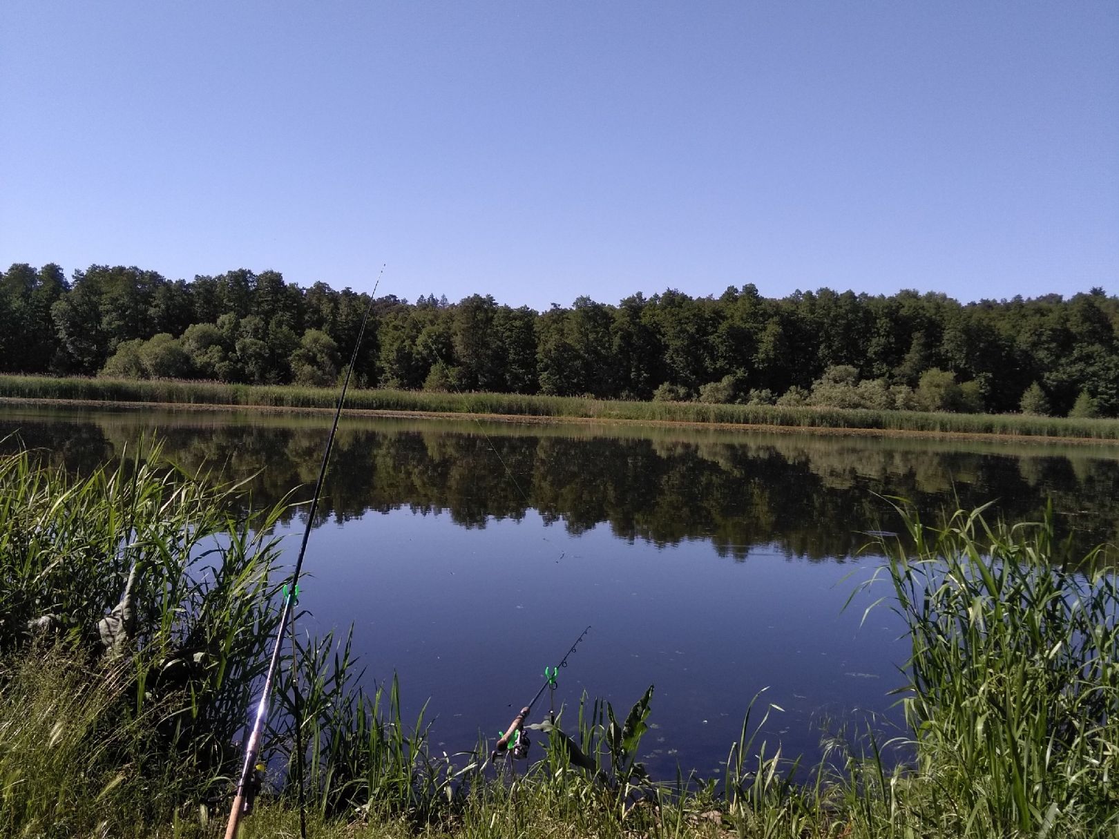 Oder-Havel-Kanal (Lieper See) angeln