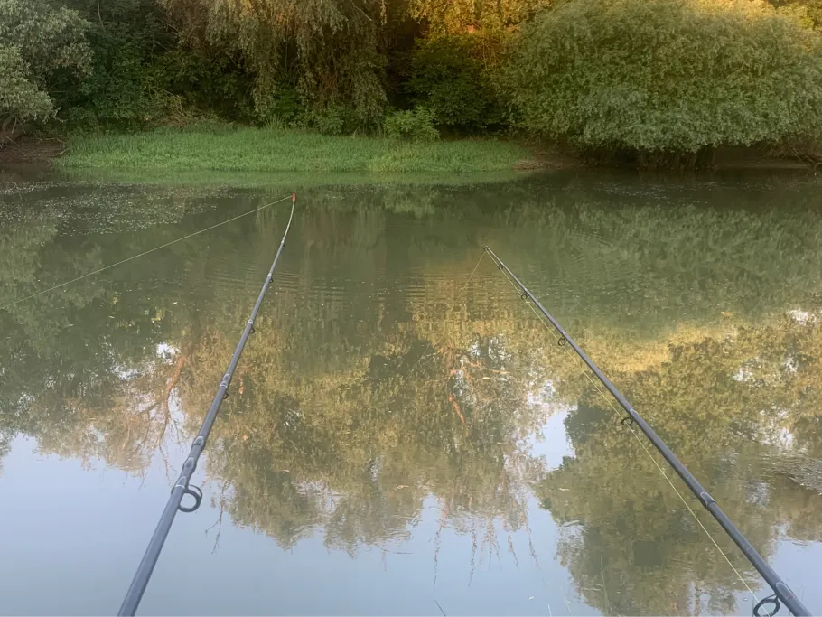 Temesch (Jabuka) angeln