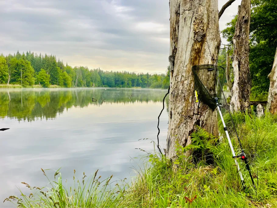 Schildestausee (Schildfeld) angeln