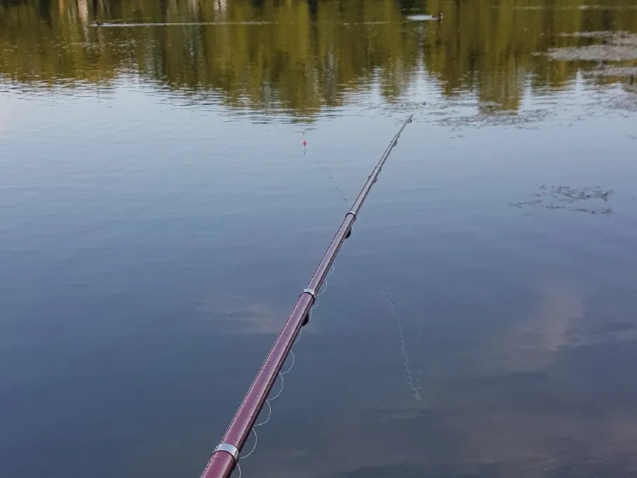 Orankesee (Hohenschönhausen) angeln