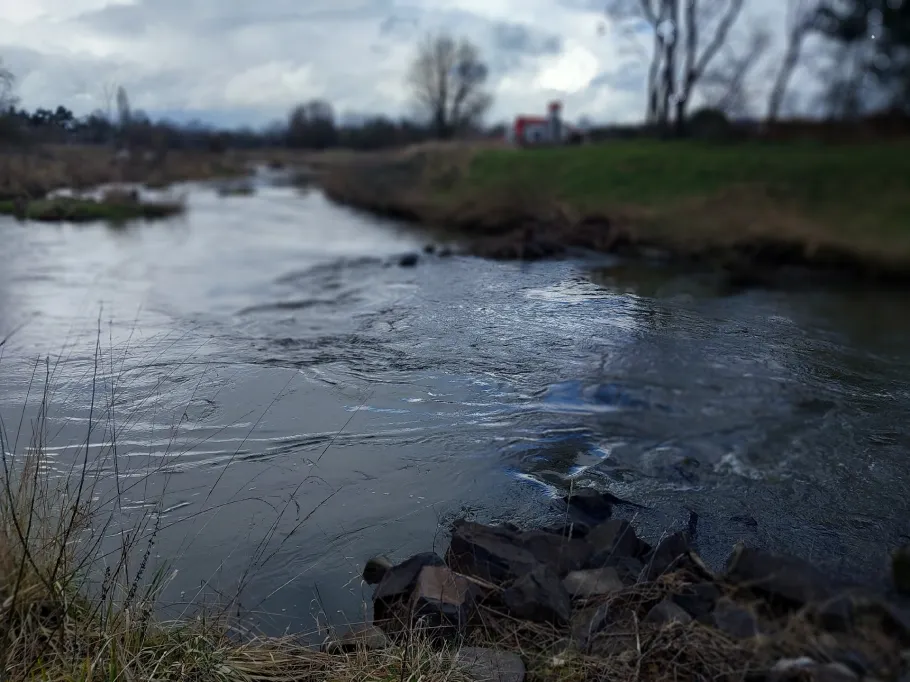 Nidda (Karben) angeln