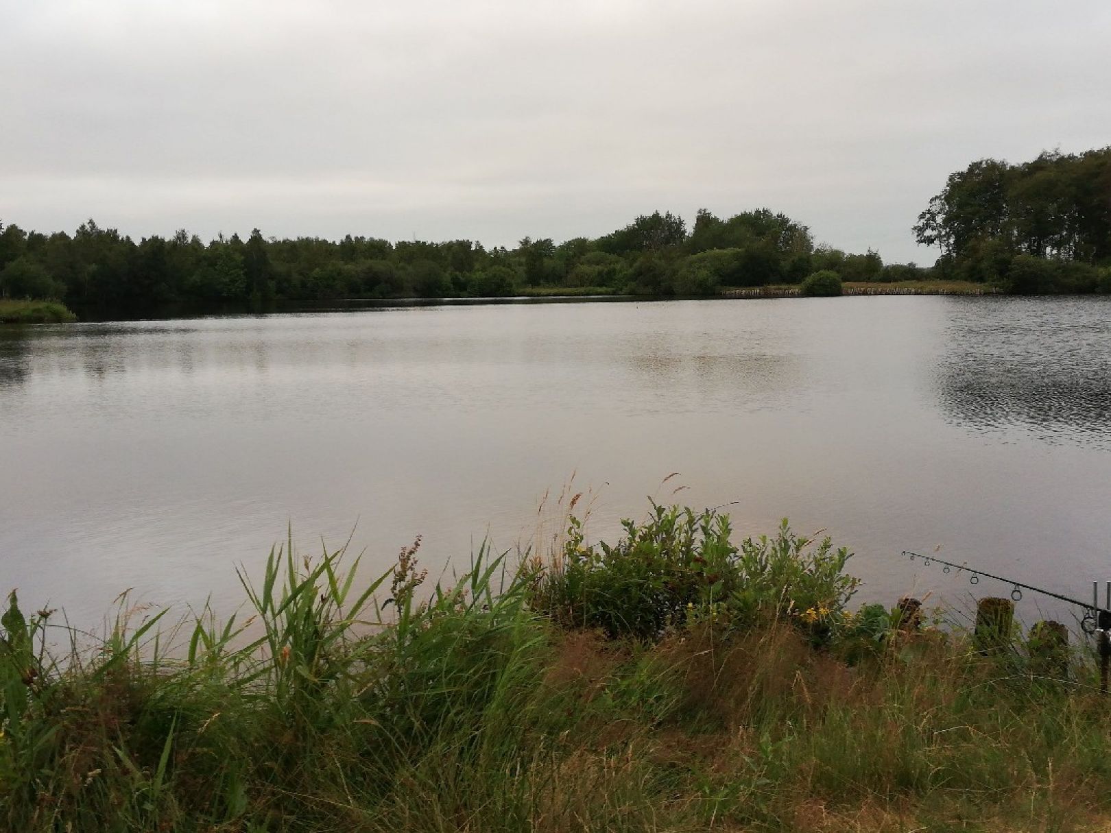 Ostroher- und Süderholmer Moor angeln