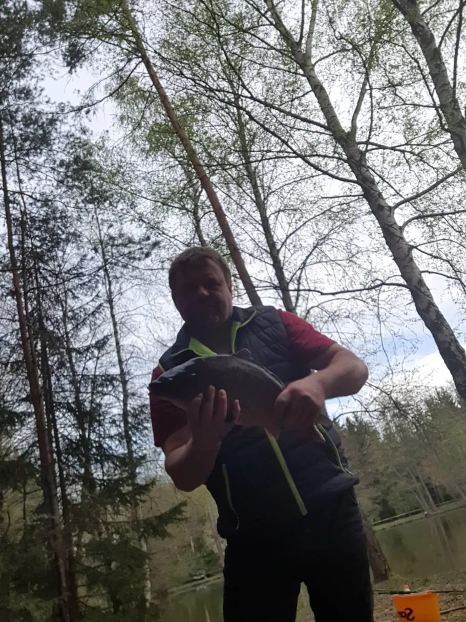 Badeteich Niederböhmersdorf angeln