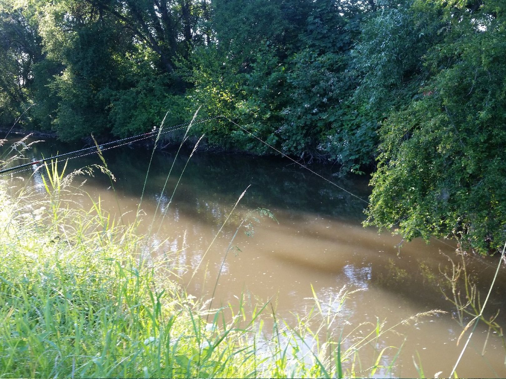 Angeln in Schaafheim