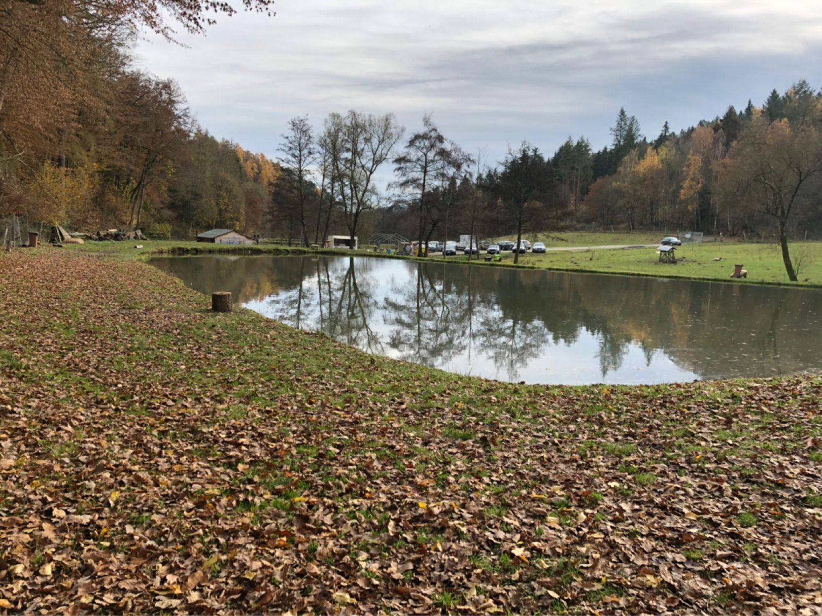 Angeln in Grävenwiesbach